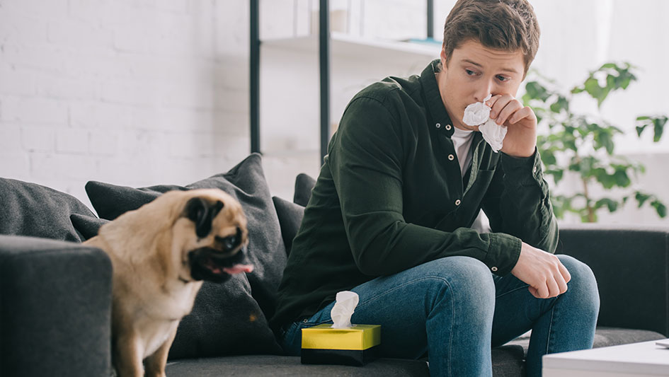 Purchasing an air purifier is one of the smartest methods to enhance your house’s indoor air quality. Find out more about the three top products. 