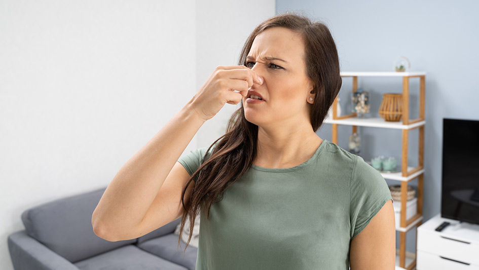 Six Common Air Conditioner Smells Explained and How to Repair Them